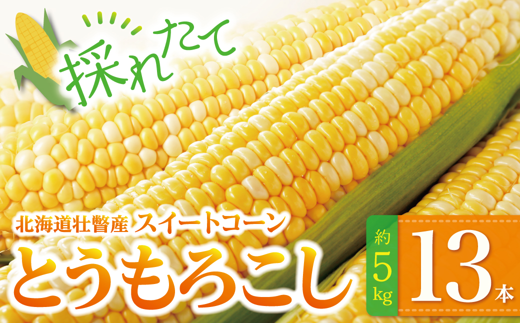 ＜2026年8月上旬よりお届け＞北海道壮瞥産 とうもろこし（スイートコーン）13本 約5kg SBTN001