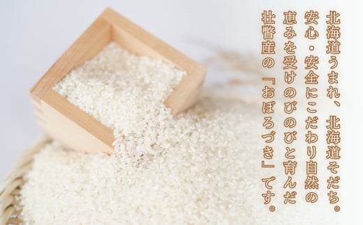 【令和7年産新米】<10月上旬よりお届け>あのさんちの美味しいお米 おぼろづき 精米5kg SBTL017