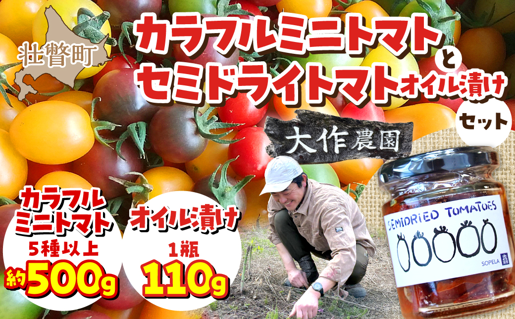 <2026年7月上旬よりお届け>北海道壮瞥産 大作農園の「カラフルミニトマト」約500g（5種以上）とセミドライトマトオイル漬け1瓶（110g）のセット SBTR008