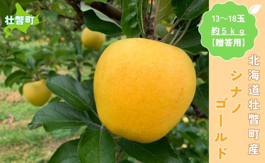 ＜11月下旬頃よりお届け＞北海道壮瞥産りんご シナノゴールド 約5kgシナノゴールド　約(13〜18玉)【贈答用】 SBTK018
