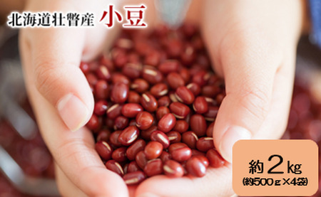 <2025年11月中旬よりお届け>北海道壮瞥産　小豆　約2kg（約500g×4袋） SBTA038