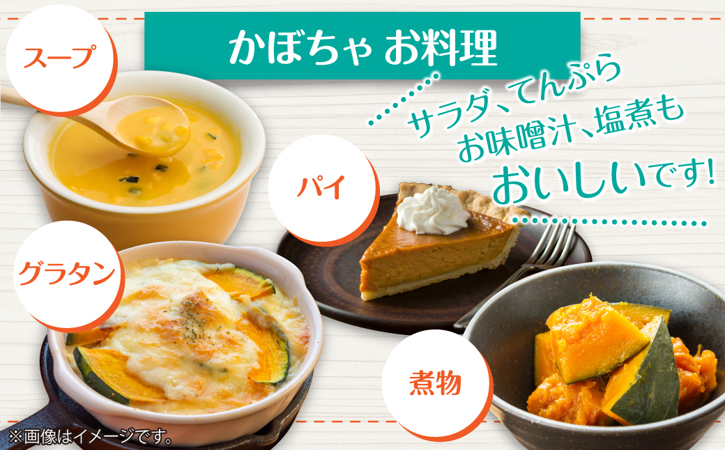 ＜2026年9月初旬よりお届け＞【農園直送】清水農園のかぼちゃ(甘旨）約10kg (4〜6玉) SBTO013