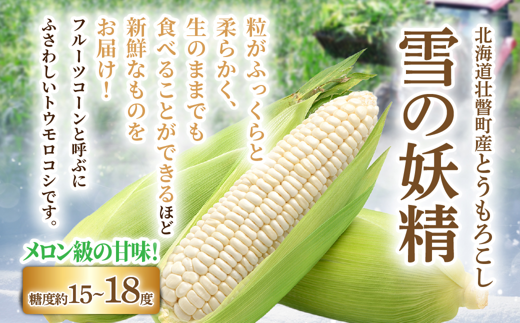 ＜2026年8月下旬よりお届け＞【朝採り】北海道壮瞥産 白いとうもろこし「雪の妖精」Lサイズ6本(約2kg) SBTQ005