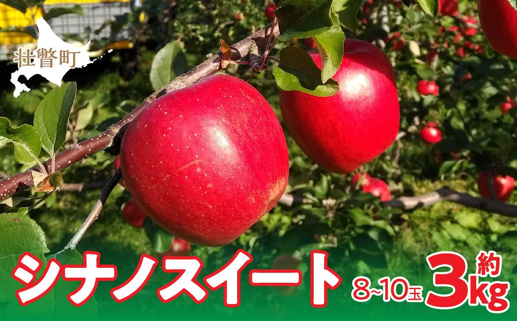 【先行予約】北海道壮瞥町産りんご「シナノスイート」約3kg(8〜10玉)<2026年10月下旬よりお届け> SBTF003