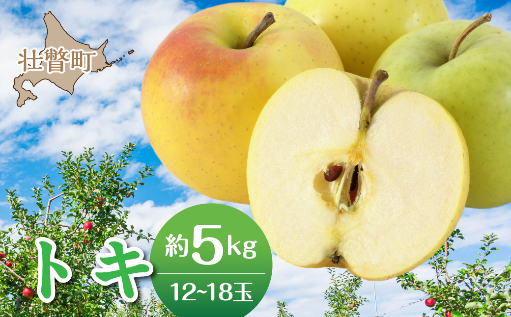 【先行予約】＜2026年10月中旬よりお届け＞北海道壮瞥町　りんご　品種名「トキ」12～18玉約5kg SBTF017