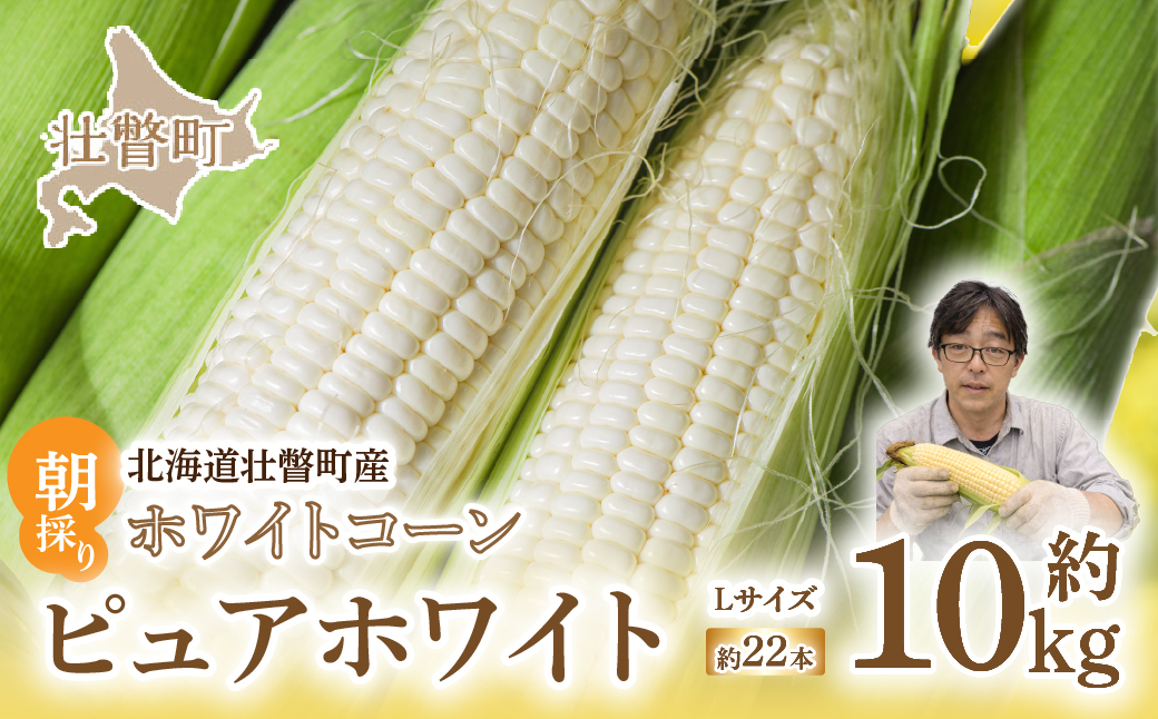 ïŒ2026幎8æäžæ¬ãããå±ãïŒãææ¡ããåæµ·é壮ç¥çºããã¯ã€ãã³ãŒã³ããã¥ã¢ãã¯ã€ããLãµã€ãºä»¥äž22æ¬ïŒçŽ10kgïŒ SBTQ002