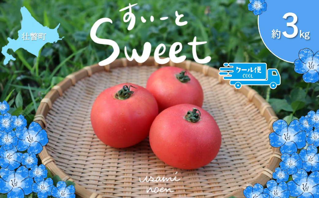 【2026年予約】極旨トマトクール便 北海道壮瞥町産 スイート3kg 中玉トマト SBTAJ019