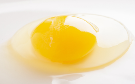 平飼い有精卵『たつかの恵み』40個×3ヶ月連続お届け SBTT002