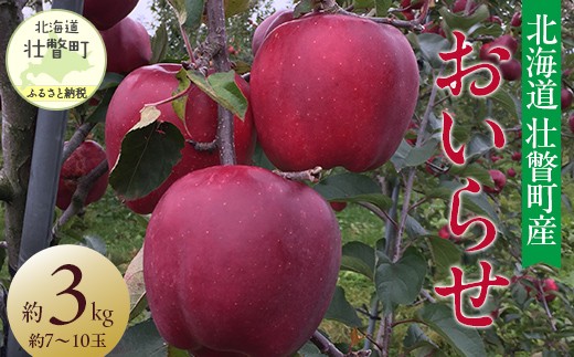 【先行予約】北海道壮瞥町産りんご「おいらせ」約3kg(7〜10玉)<2026年11月初旬にお届け> SBTF005