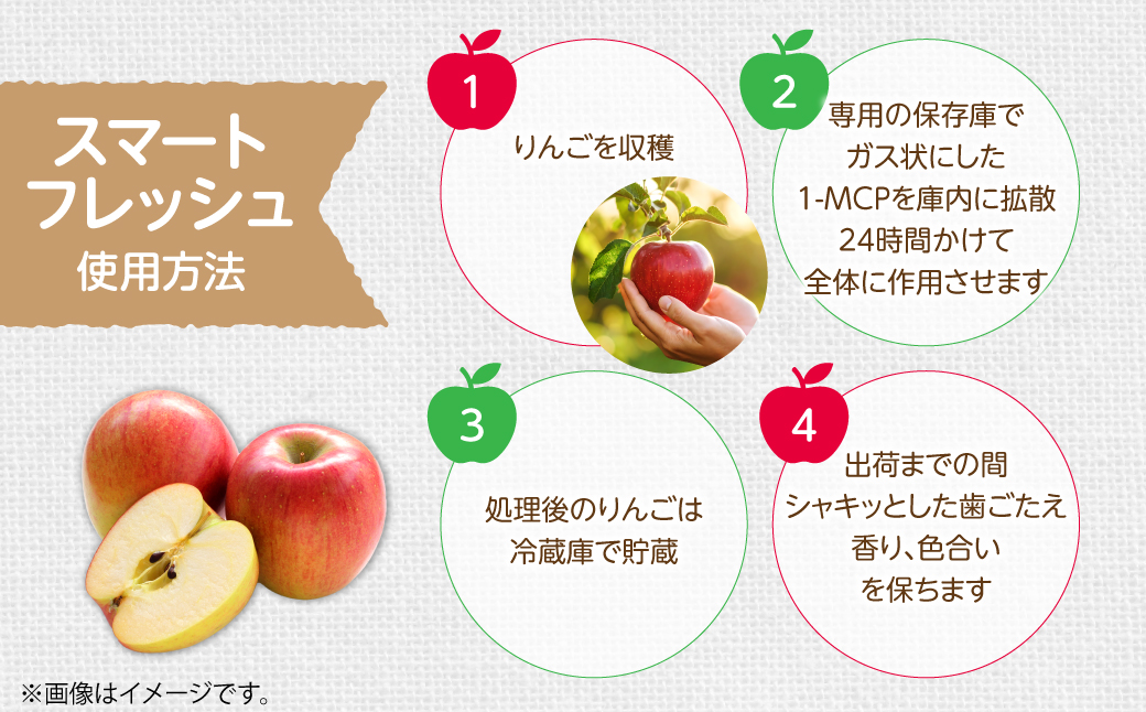 3・4月発送！北海道壮瞥町　りんご(スマートフレッシュ)　品種名「シナノゴールド」8～10玉約3kg　SBTF028