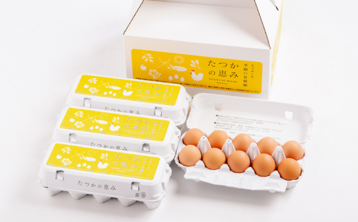 平飼い有精卵『たつかの恵み』40個×4ヶ月連続お届け SBTT003