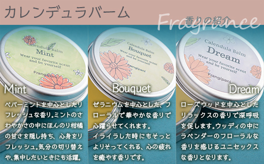 ã¢ããããŒã 10g 6çš®ã»ãã SBTX005