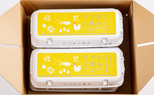 平飼い有精卵『たつかの恵み』40個×3ヶ月連続お届け SBTT002