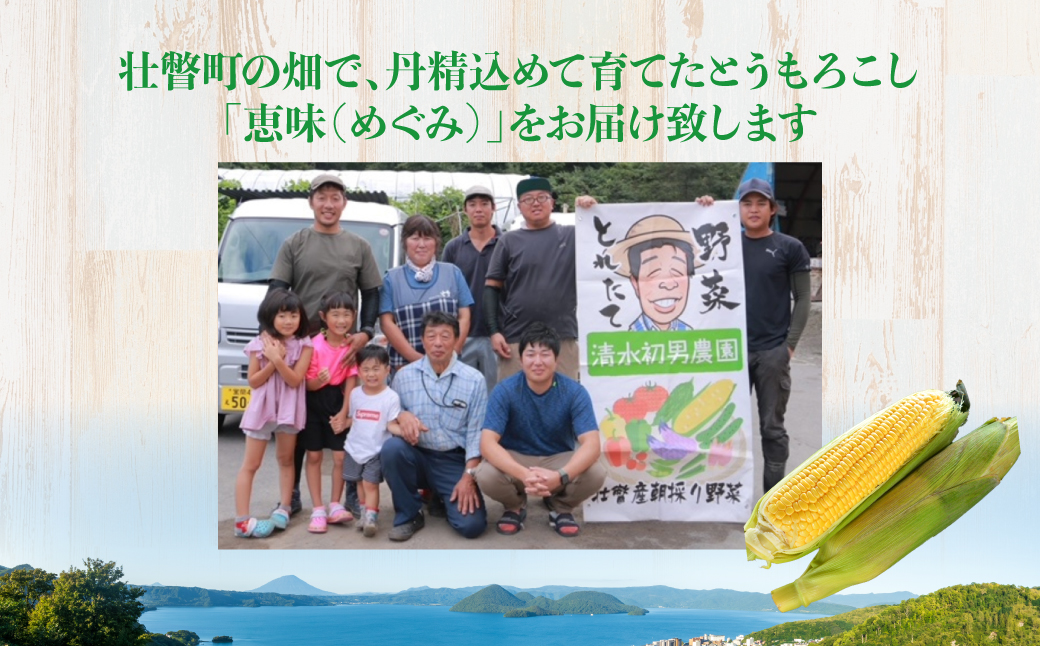 ＜2026年8月初旬よりお届け＞約5kg！北海道壮瞥産とうもろこし（恵味）【Ｌ〜2Lサイズ 11〜13本】 SBTP002