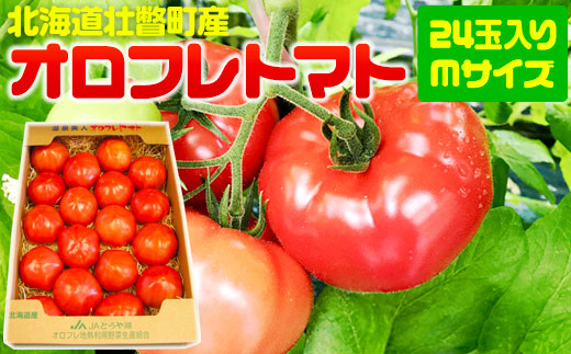 ＜2026年3月上旬より順次お届け＞北海道壮瞥産 オロフレトマト24玉入り（Mサイズ） SBTA028