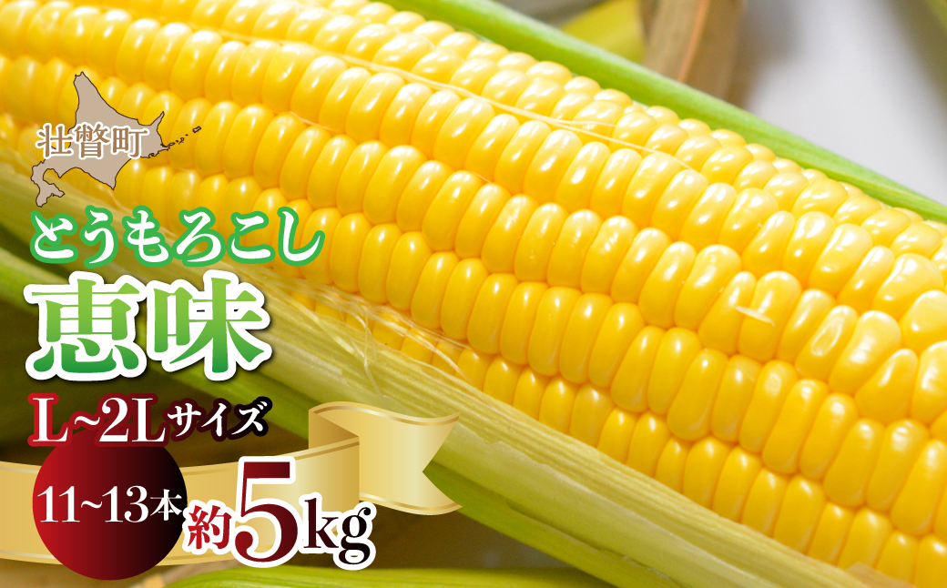 ＜2026年8月初旬よりお届け＞約5kg！北海道壮瞥産とうもろこし（恵味）【Ｌ〜2Lサイズ 11〜13本】 SBTP002