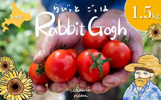 北海道壮瞥町産 ラビットゴッホ1.5kg 中玉トマト SBTAJ002