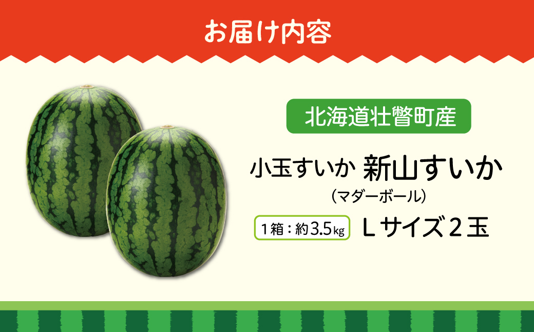 ＜2026年8月上旬よりお届け＞北海道壮瞥産　新山すいか 小玉すいか（マダーボール）Lサイズ2玉 スイカ SBTN002