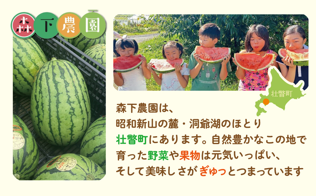＜2026年8月上旬よりお届け＞北海道壮瞥産　新山すいか 小玉すいか（マダーボール）Lサイズ2玉 スイカ SBTN002