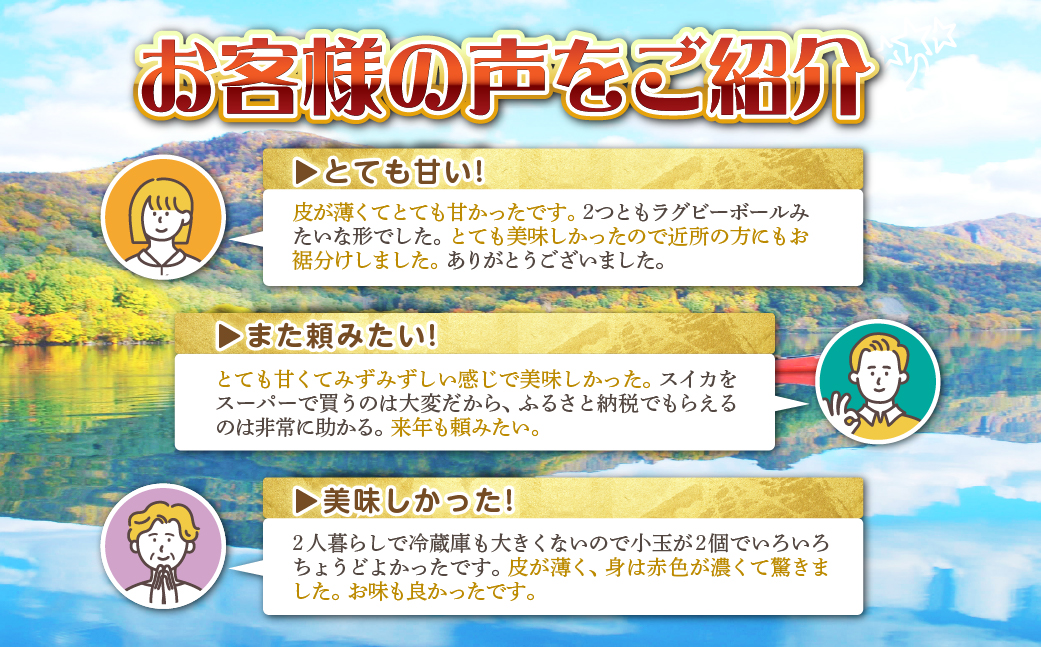 【先行予約】【定期便2回】赤肉メロン2玉＋小玉スイカ2玉 旬のフルーツ定期便<7月下旬・8月上旬お届け> SBTN011