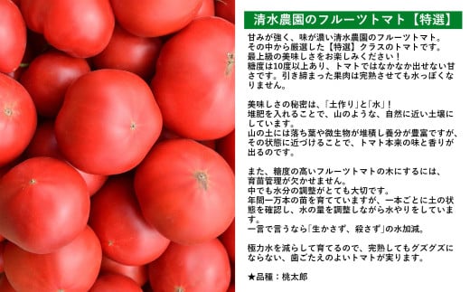 ＜2026年6月下旬よりお届け＞【特選・糖度10度以上】【農園直送】北海道壮瞥産 こだわりフルーツトマト 20玉以上 SBTO005