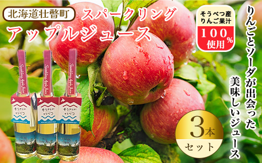 スパークリングアップルジュース3本セット　※そうべつ産りんご100%使用 SBTA014