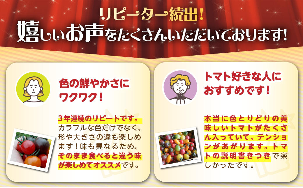 ＜2026年7月上旬よりお届け＞北海道壮瞥産 大作農園のカラフルミニトマト約1.5kg(5種以上) SBTR002