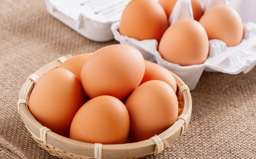 平飼い有精卵『たつかの恵み』40個×2ヶ月連続お届け SBTT001