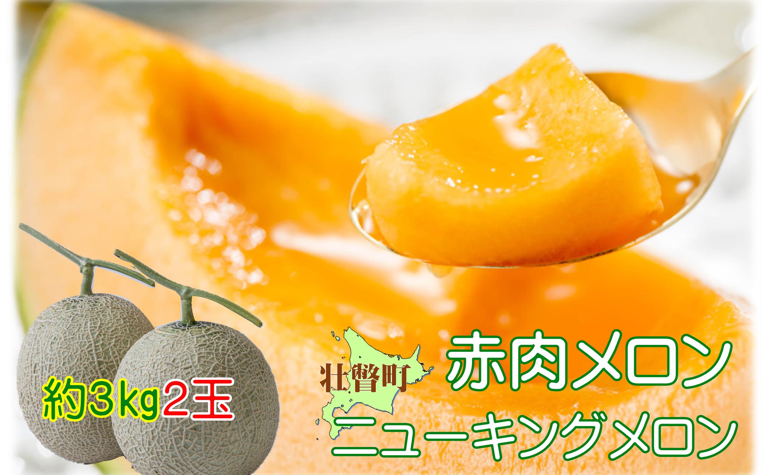 ＜2026年7月下旬よりお届け＞北海道壮瞥産 赤肉メロン（ニューキングメロン）2玉 約3kg SBTN003