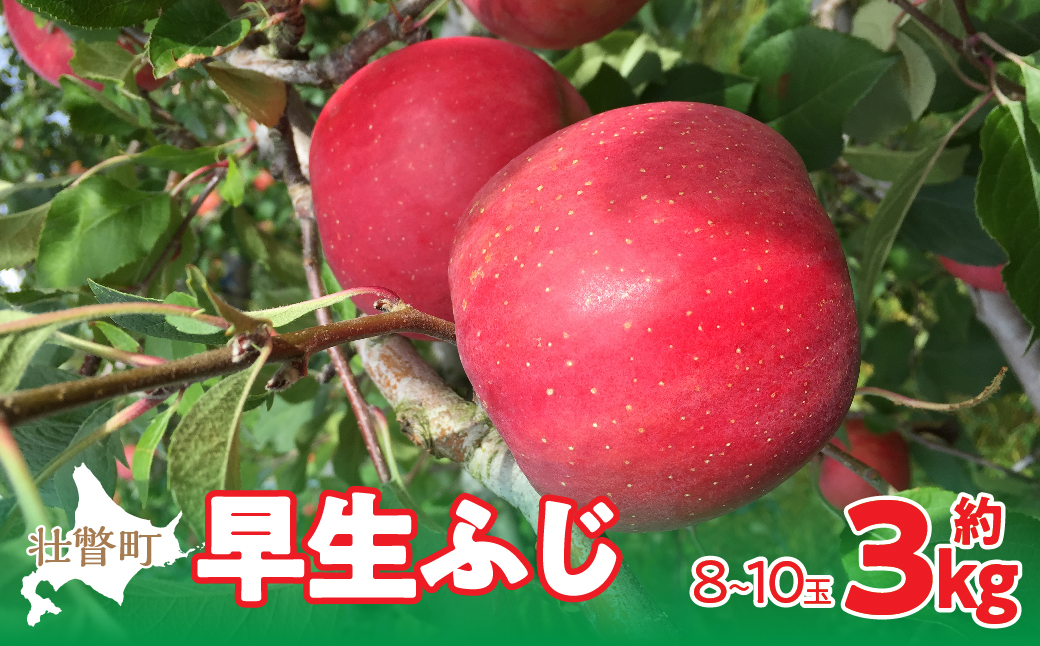 【先行予約】北海道壮瞥町産りんご「早生ふじ」約3kg(8〜10玉)<2026年10月中旬よりお届け> SBTF002