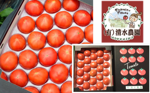 ＜2026年6月下旬よりお届け＞【農園直送】北海道壮瞥産 こだわりフルーツトマト　20玉以上 SBTO003