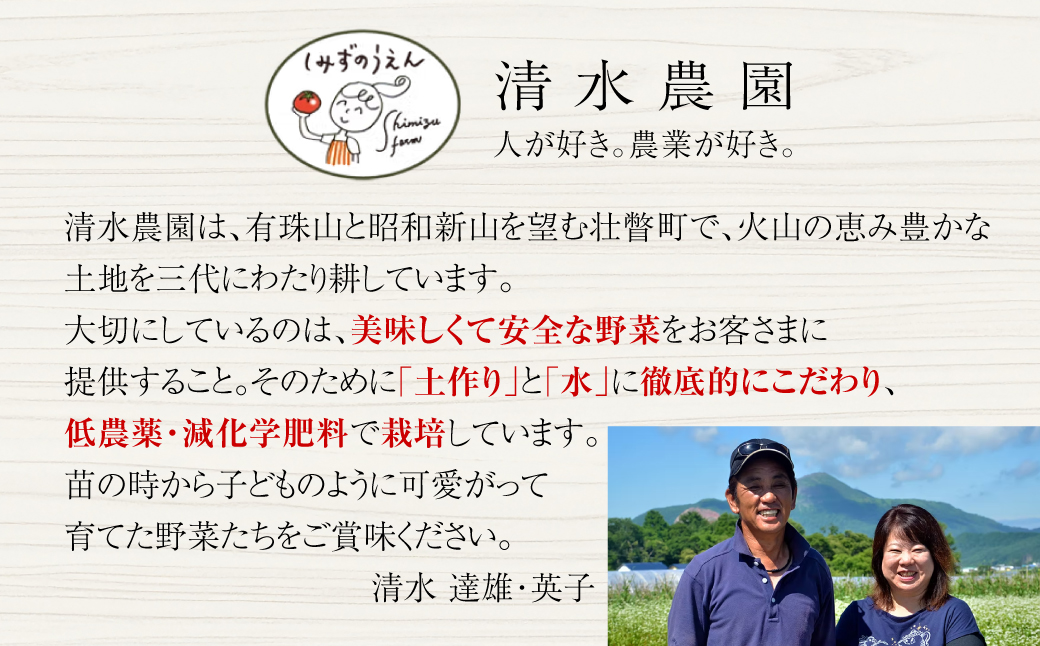 ＜2026年6月下旬よりお届け＞【特選・糖度10度以上】【農園直送】北海道壮瞥産 こだわりフルーツトマト 20玉以上 SBTO005