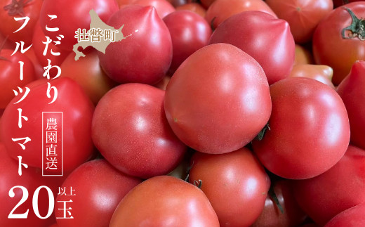 ＜2026年6月下旬よりお届け＞【農園直送】北海道壮瞥産 こだわりフルーツトマト　20玉以上 SBTO003