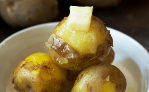 ＜2026年9月下旬よりお届け＞北海道壮瞥町産じゃがいも（とうや）Lサイズ10kg SBTN005