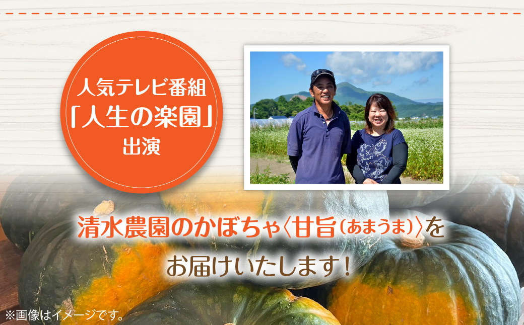 ＜2026年9月初旬よりお届け＞【農園直送】清水農園のかぼちゃ(甘旨）約10kg (4〜6玉) SBTO013