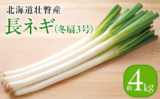＜2025年12月20日頃よりお届け＞長ネギ（冬扇3号）約4kg SBTP012