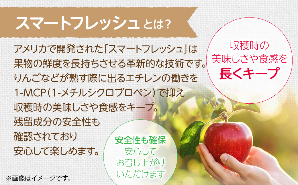 3・4月発送！北海道壮瞥町　りんご(スマートフレッシュ)　品種名「シナノゴールド」8～10玉約3kg　SBTF028