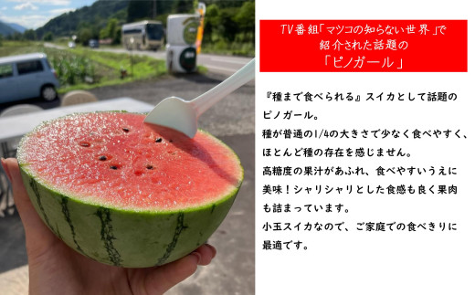 ＜2026年8月上旬より順次お届け＞北海道壮瞥産 小玉すいか（赤肉・ピノガール）2玉約3kg スイカ　 SBTN004