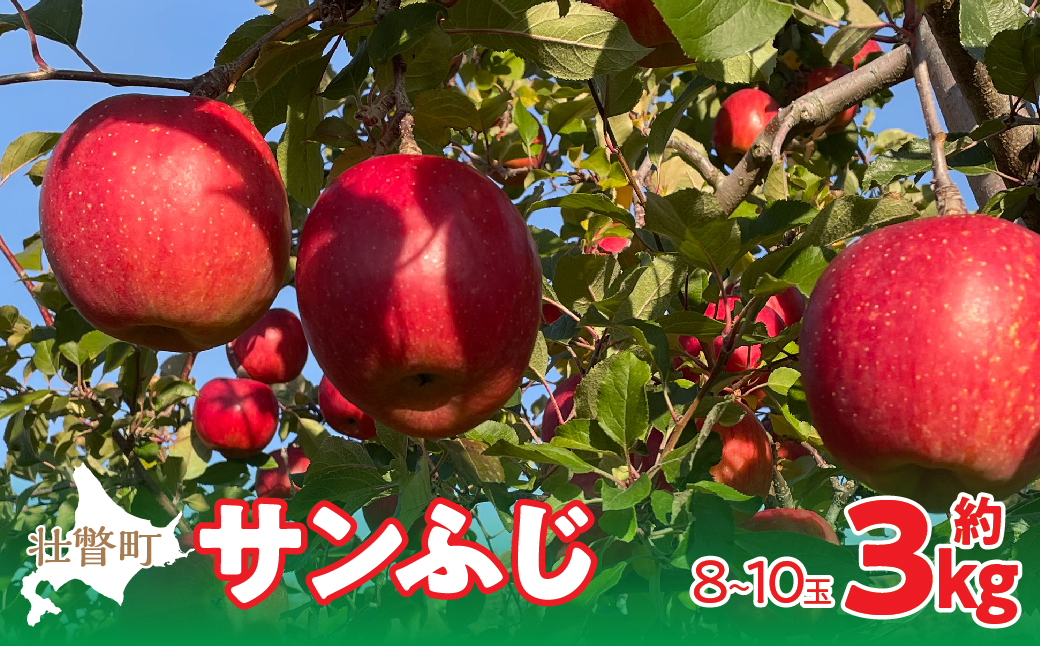 【先行予約】北海道壮瞥町産りんご「サンふじ」約3kg(8〜10玉)<2026年12月上旬にお届け> SBTF006