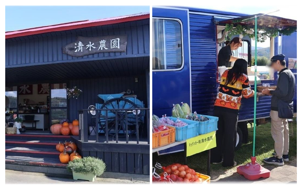 ã什å7幎ç£ã åæµ·é壮ç¥çºç£ æž
氎蟲åã®ãªãªã€ãŒã 5kg SBTO015