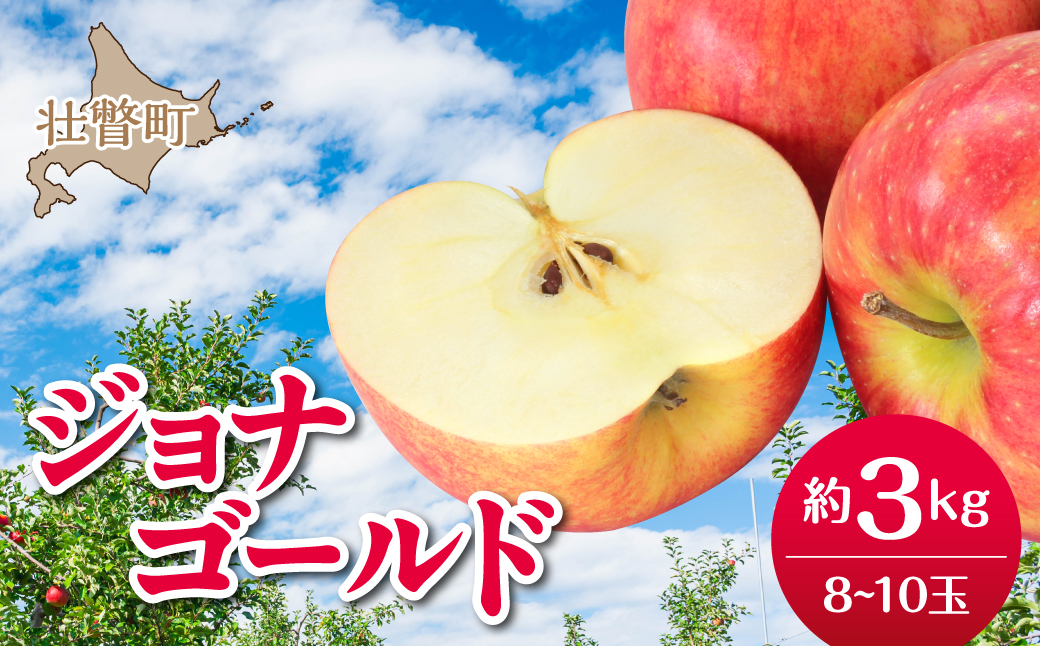 【先行予約】＜2026年10月下旬よりお届け＞北海道壮瞥町　りんご　品種名「ジョナゴールド」8～10玉約3kg SBTF018