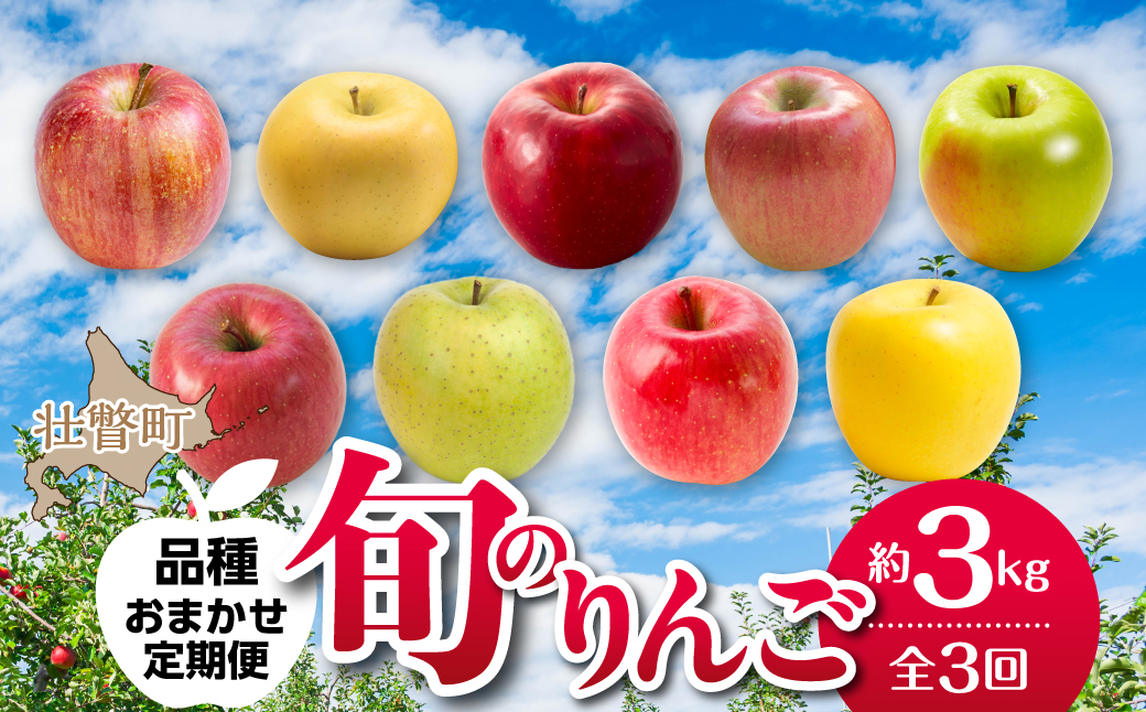 【先行予約】＜10･11･12月お届け＞北海道壮瞥町　旬のりんご約3kg　おまかせ定期便 SBTF031