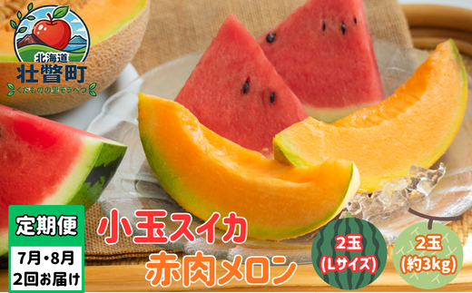 【先行予約】【定期便2回】赤肉メロン2玉＋小玉スイカ2玉 旬のフルーツ定期便<7月下旬・8月上旬お届け> SBTN011