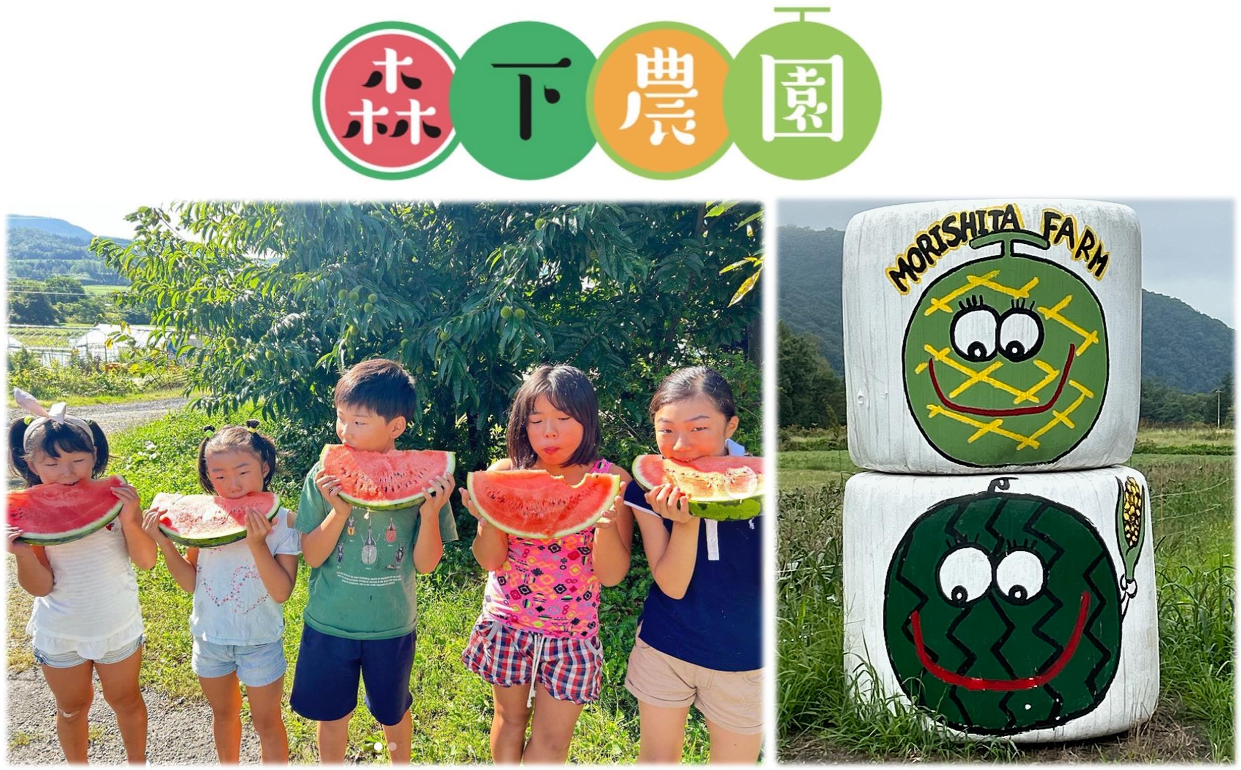 【先行予約】【定期便2回】スイートコーン約5kg(13本) ＋じゃがいも(とうや)約10kg 旬の野菜定期便<8月上旬・9月下旬お届け> SBTN013