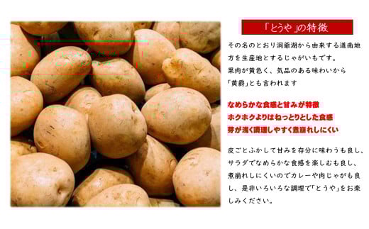 ＜2026年9月下旬よりお届け＞北海道壮瞥町産じゃがいも（とうや）Lサイズ10kg SBTN005