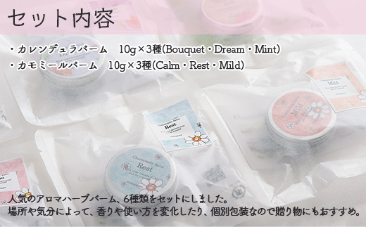 ã¢ããããŒã 10g 6çš®ã»ãã SBTX005