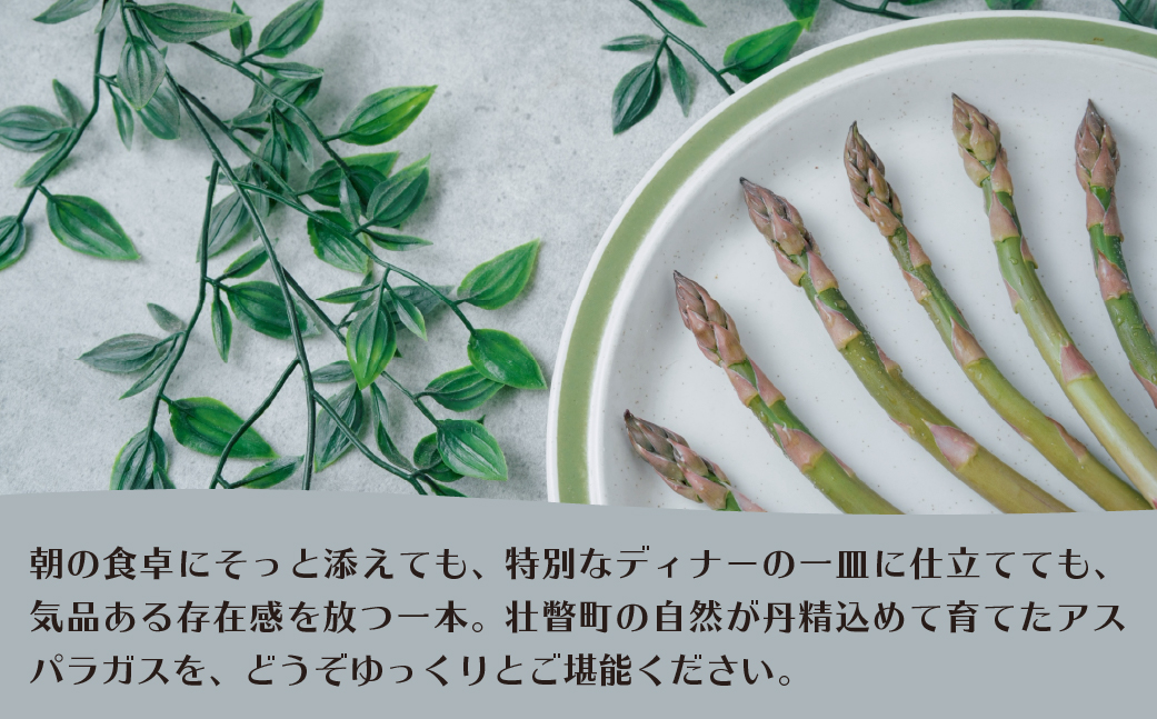 【2026年予約】朝採りグリーンアスパラ（春芽）M-L混合 約1.5kg 北海道壮瞥町産 SBTAJ033
