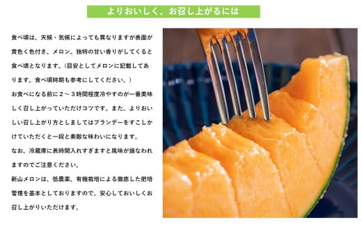 ïŒ2026幎7æäžæ¬ãããå±ãïŒåæµ·é壮ç¥ç£ èµ€èã¡ãã³ïŒãã¥ãŒãã³ã°ã¡ãã³ïŒ2ç çŽ3kg SBTN003