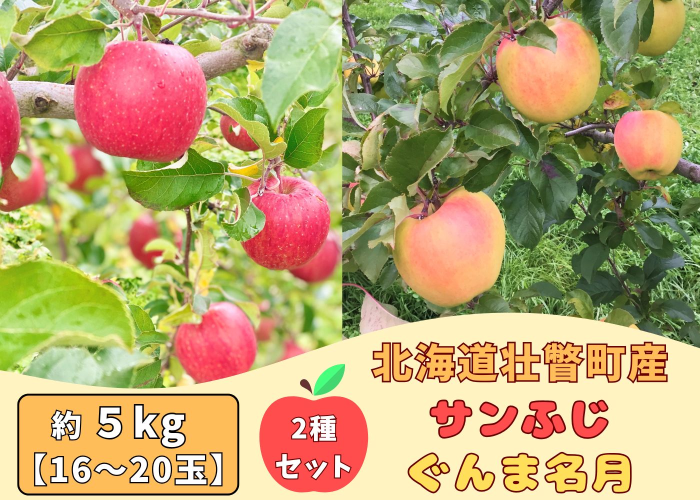 ファームアグリエイトのりんご食べ比べ「ぐんま名月」「サンふじ」計 約5kg（16～20玉）SBTB016