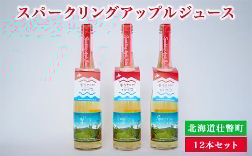 スパークリングアップルジュース12本セット SBTA020